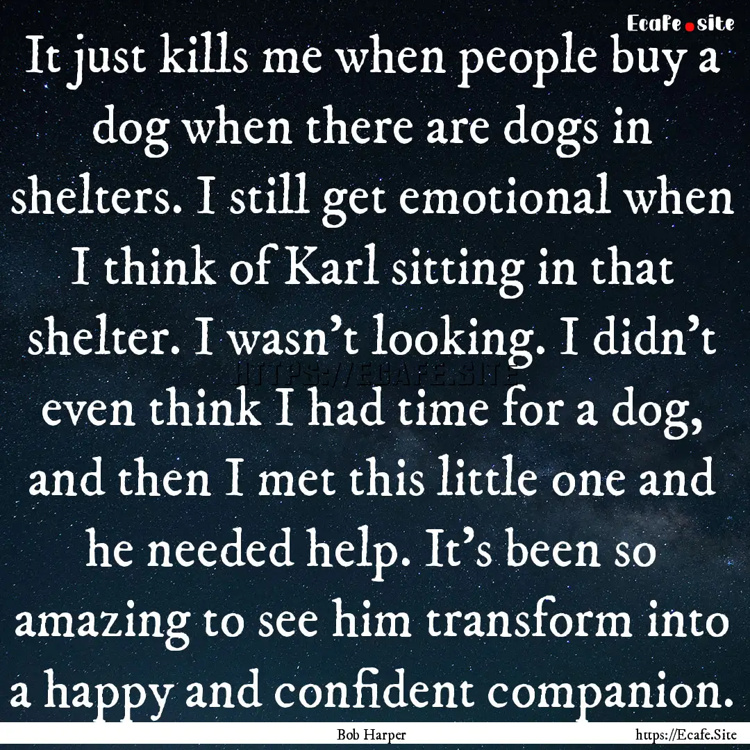 It just kills me when people buy a dog when.... : Quote by Bob Harper