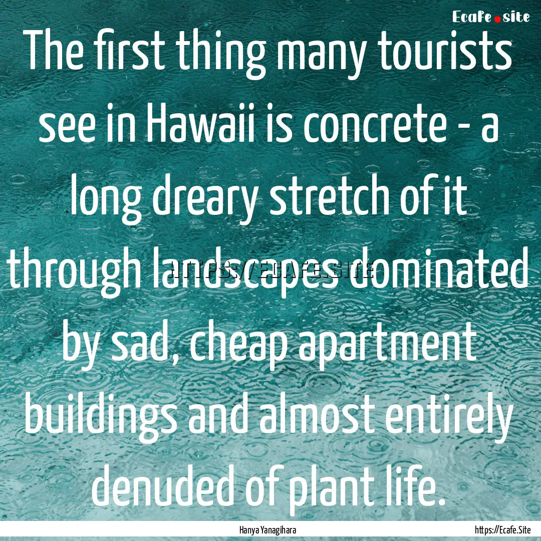 The first thing many tourists see in Hawaii.... : Quote by Hanya Yanagihara