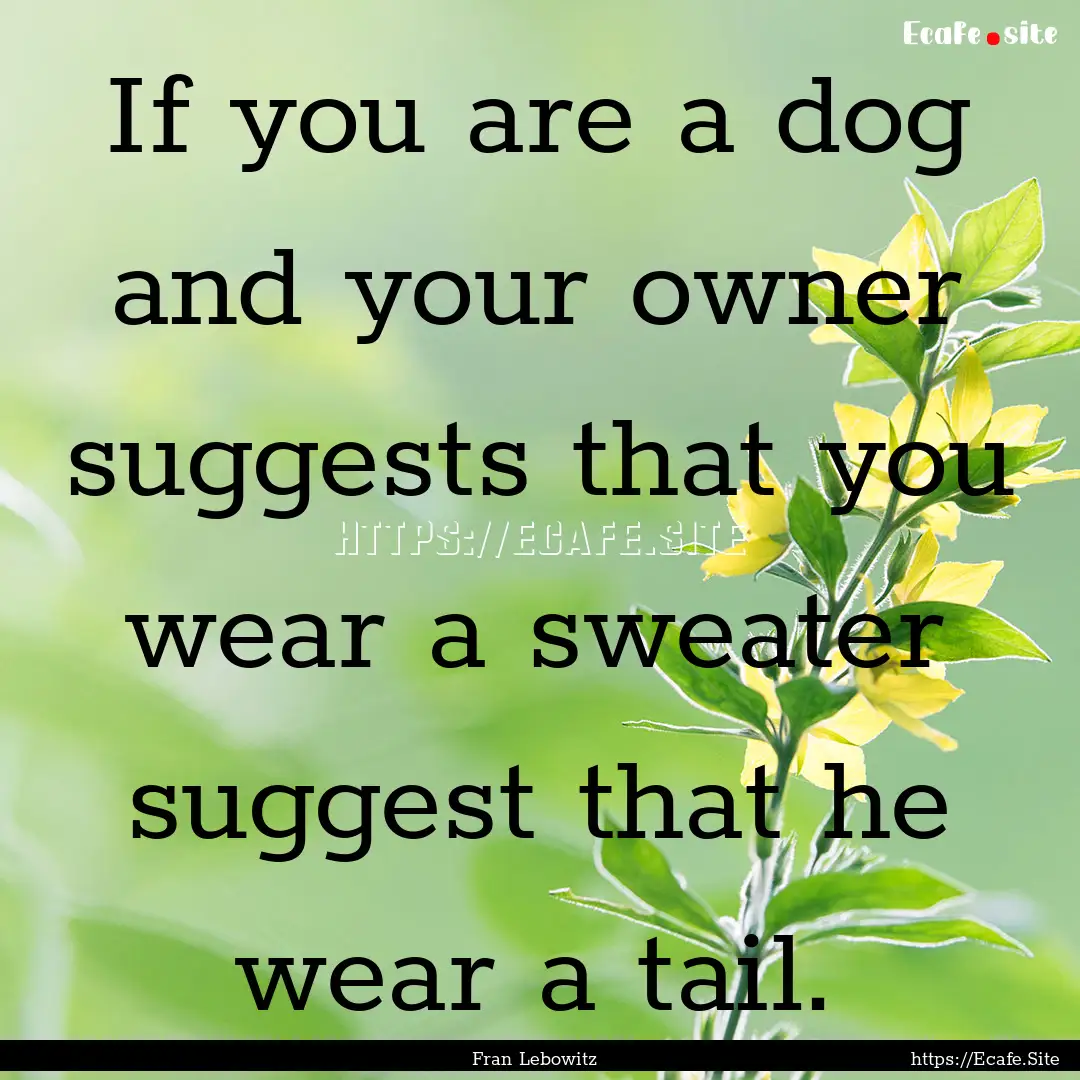 If you are a dog and your owner suggests.... : Quote by Fran Lebowitz