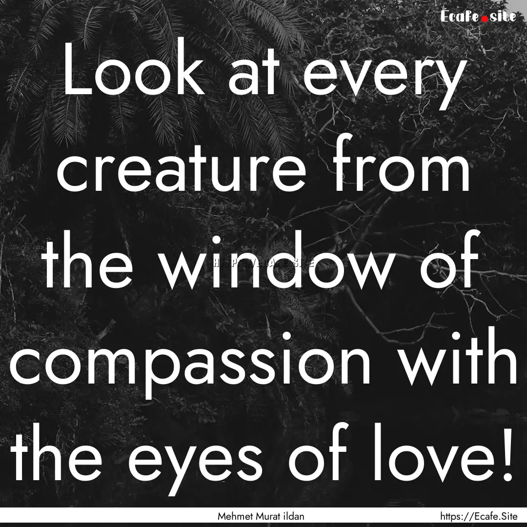 Look at every creature from the window of.... : Quote by Mehmet Murat ildan