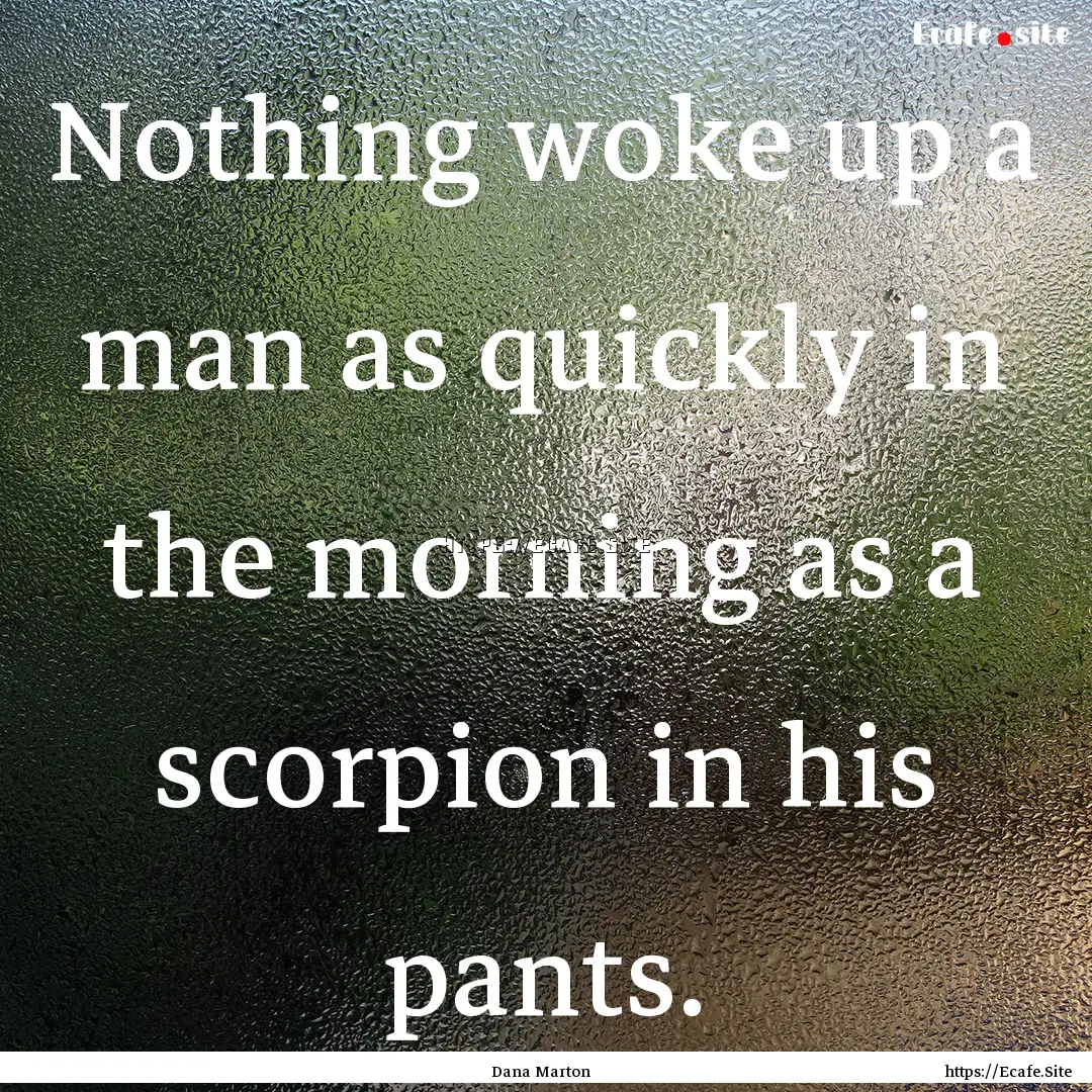 Nothing woke up a man as quickly in the morning.... : Quote by Dana Marton