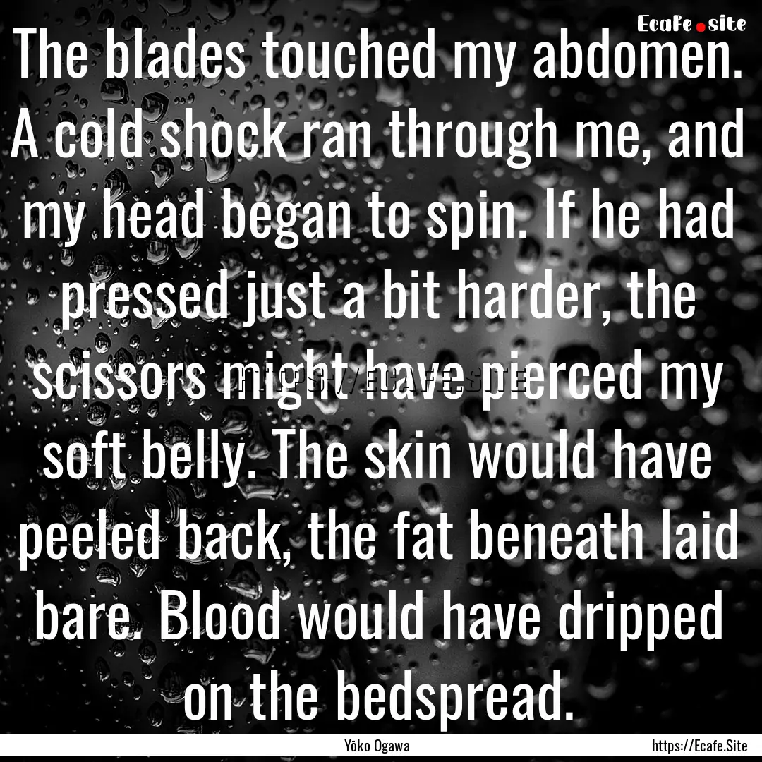 The blades touched my abdomen. A cold shock.... : Quote by Yōko Ogawa