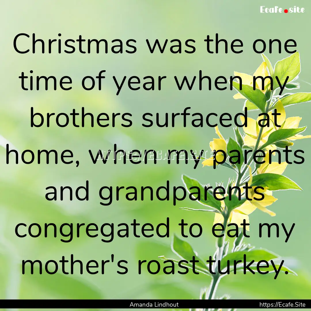 Christmas was the one time of year when my.... : Quote by Amanda Lindhout