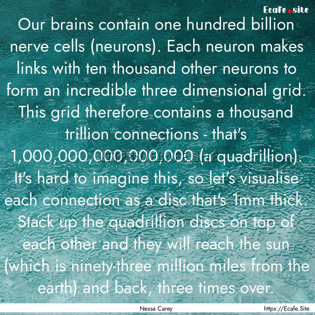 Our brains contain one hundred billion nerve.... : Quote by Nessa Carey