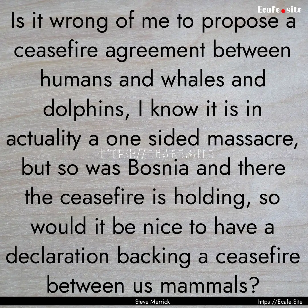 Is it wrong of me to propose a ceasefire.... : Quote by Steve Merrick