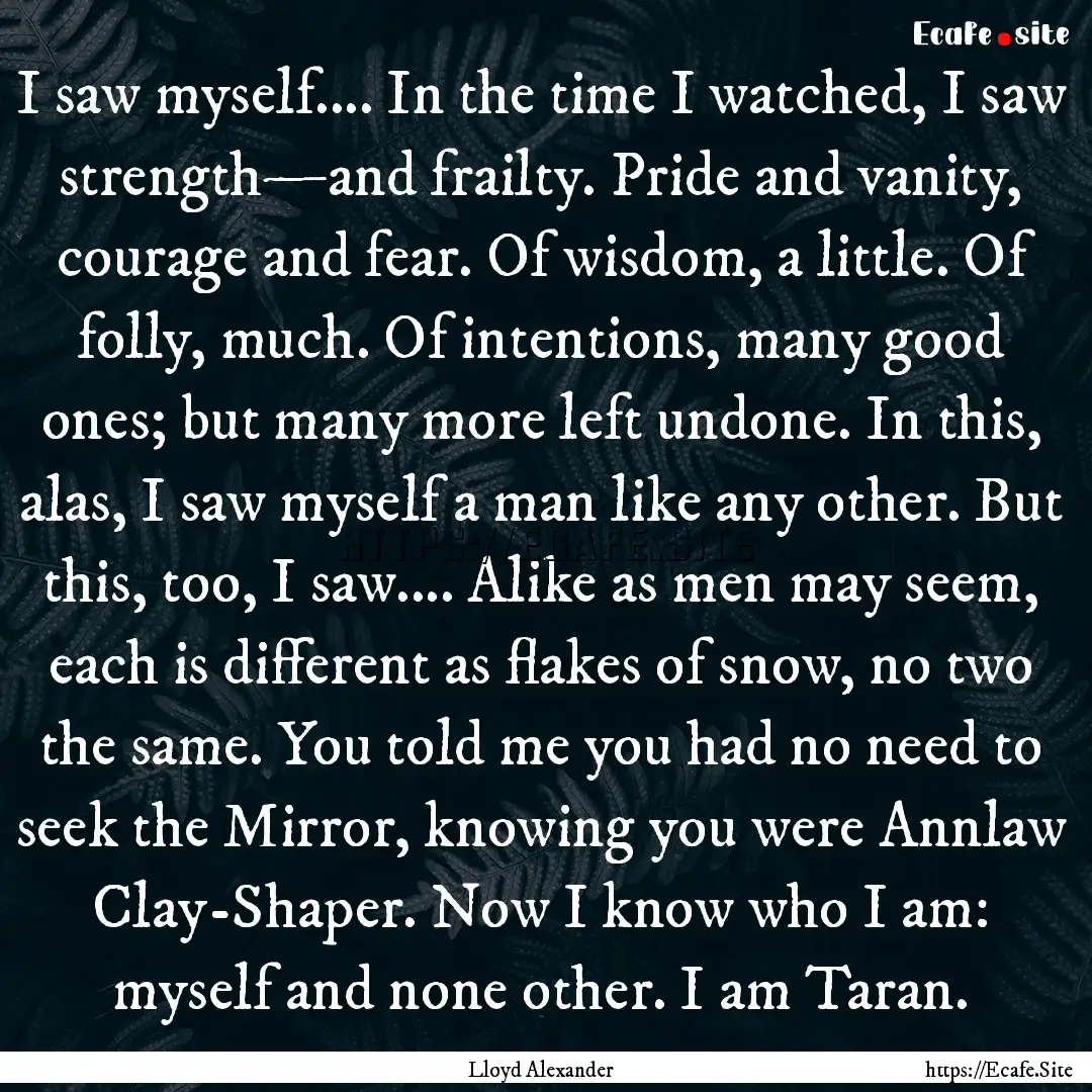 I saw myself.... In the time I watched, I.... : Quote by Lloyd Alexander