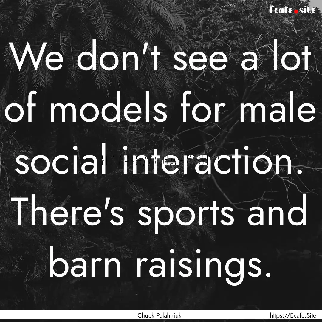 We don't see a lot of models for male social.... : Quote by Chuck Palahniuk