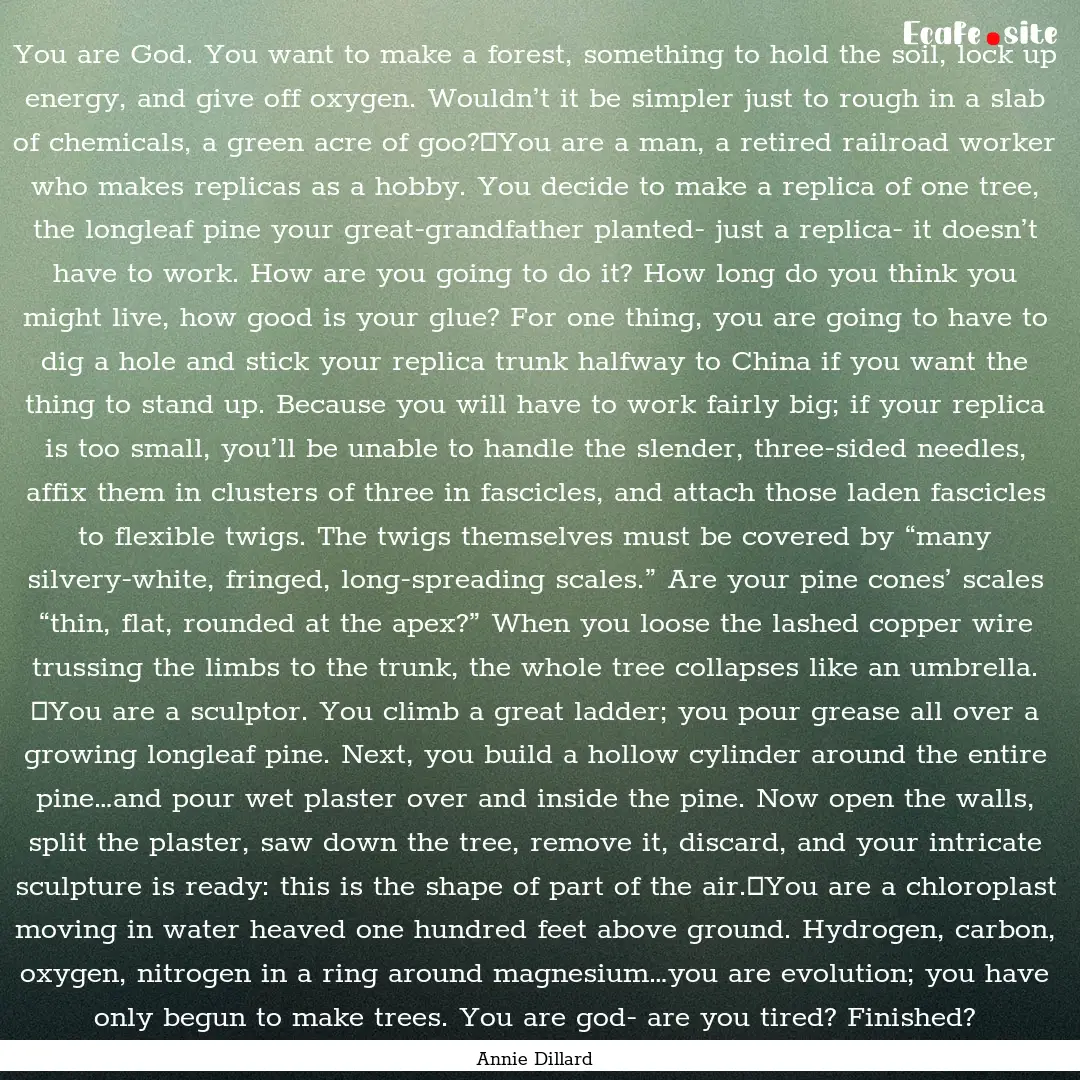 You are God. You want to make a forest, something.... : Quote by Annie Dillard