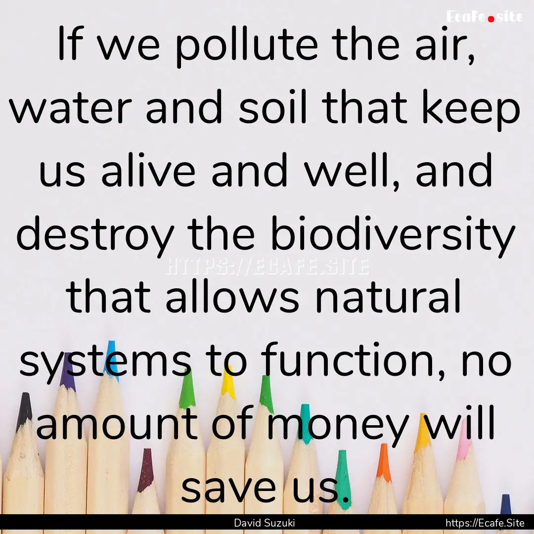 If we pollute the air, water and soil that.... : Quote by David Suzuki