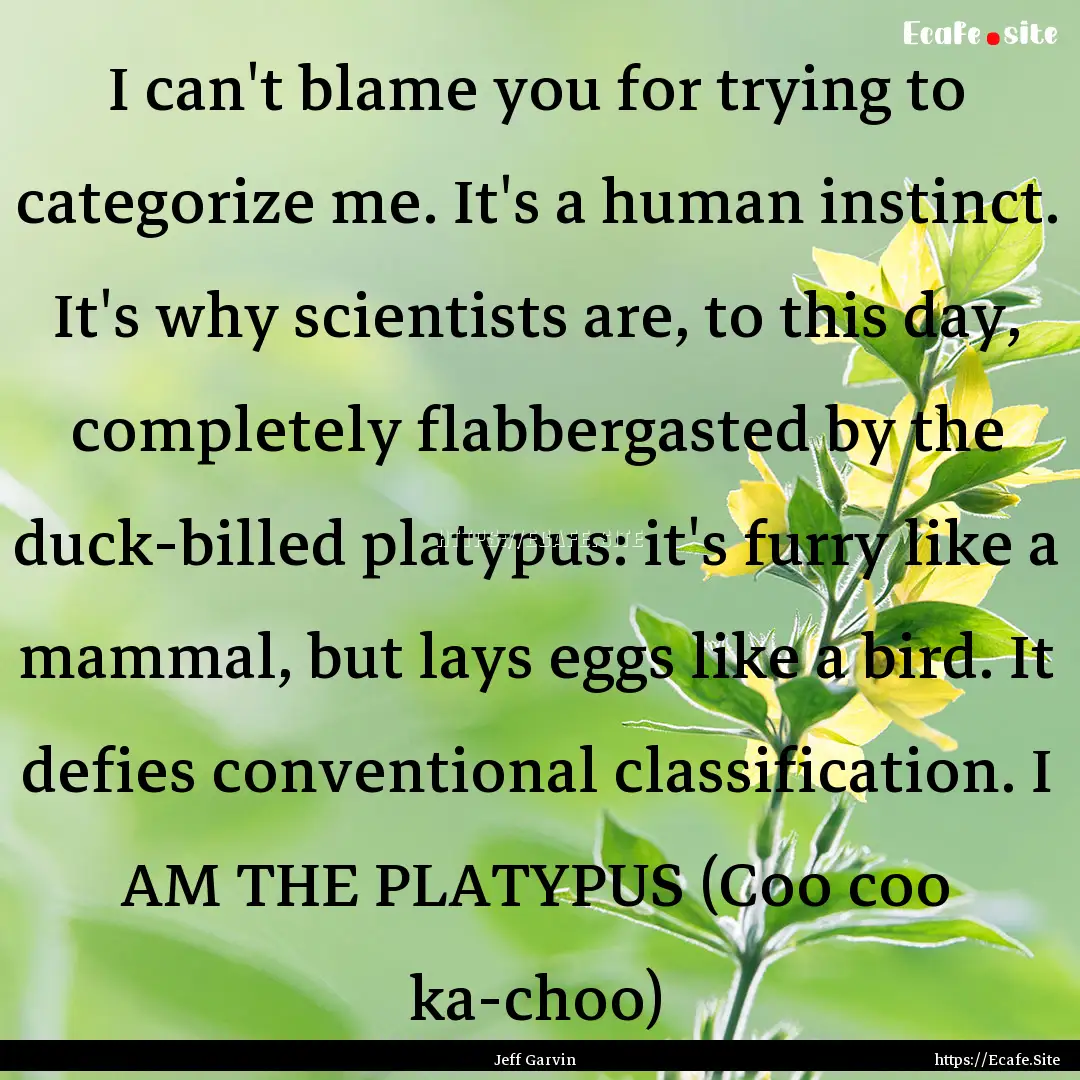 I can't blame you for trying to categorize.... : Quote by Jeff Garvin