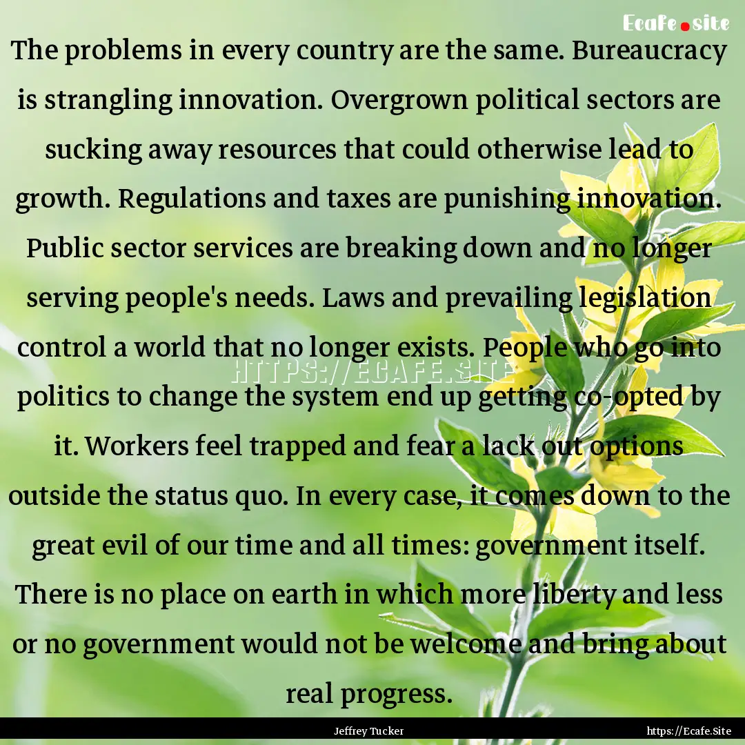 The problems in every country are the same..... : Quote by Jeffrey Tucker