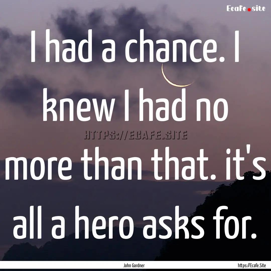 I had a chance. I knew I had no more than.... : Quote by John Gardner