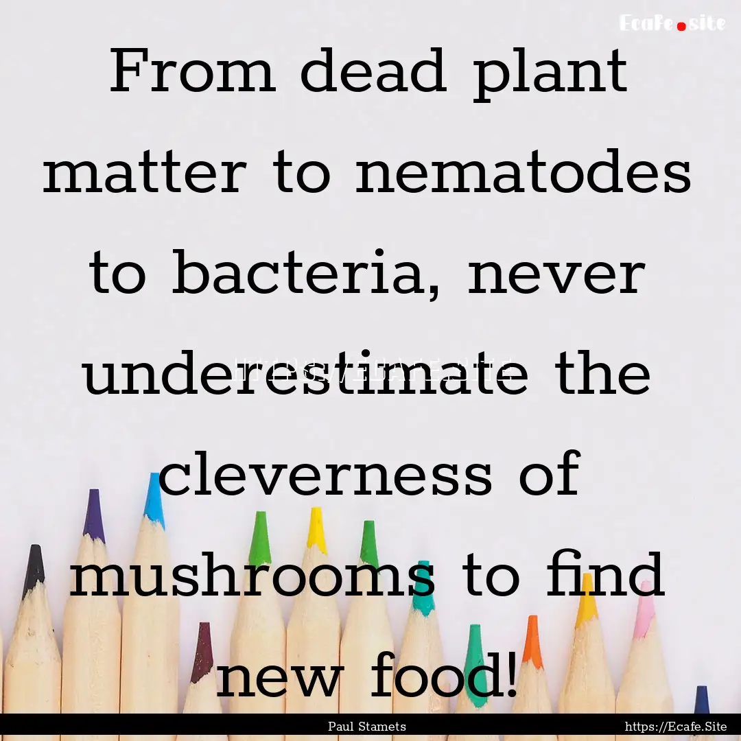 From dead plant matter to nematodes to bacteria,.... : Quote by Paul Stamets