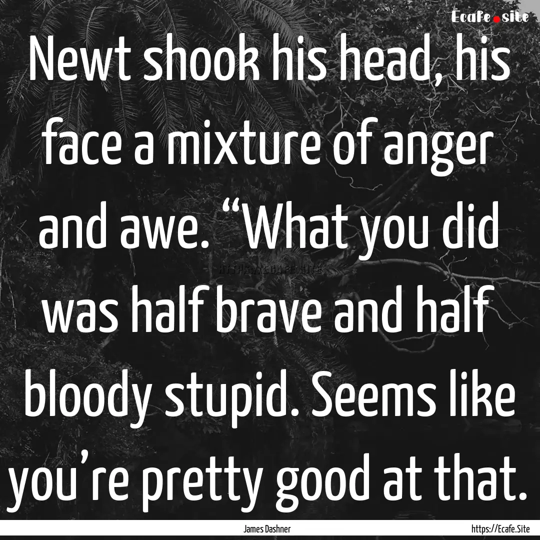 Newt shook his head, his face a mixture of.... : Quote by James Dashner