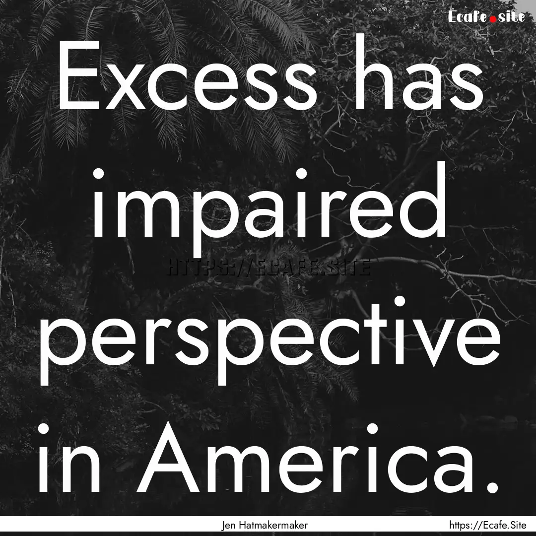 Excess has impaired perspective in America..... : Quote by Jen Hatmakermaker