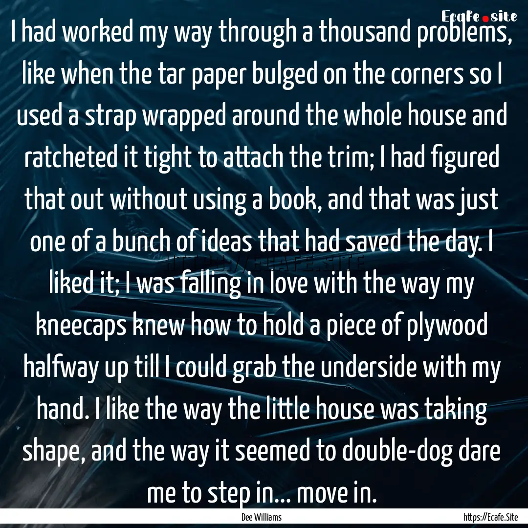 I had worked my way through a thousand problems,.... : Quote by Dee Williams