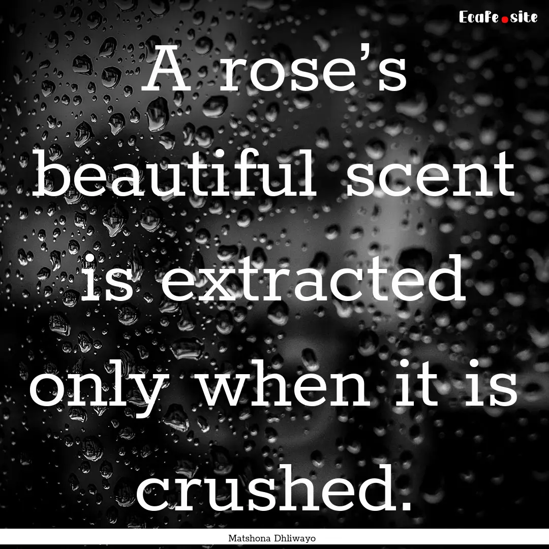 A rose’s beautiful scent is extracted only.... : Quote by Matshona Dhliwayo