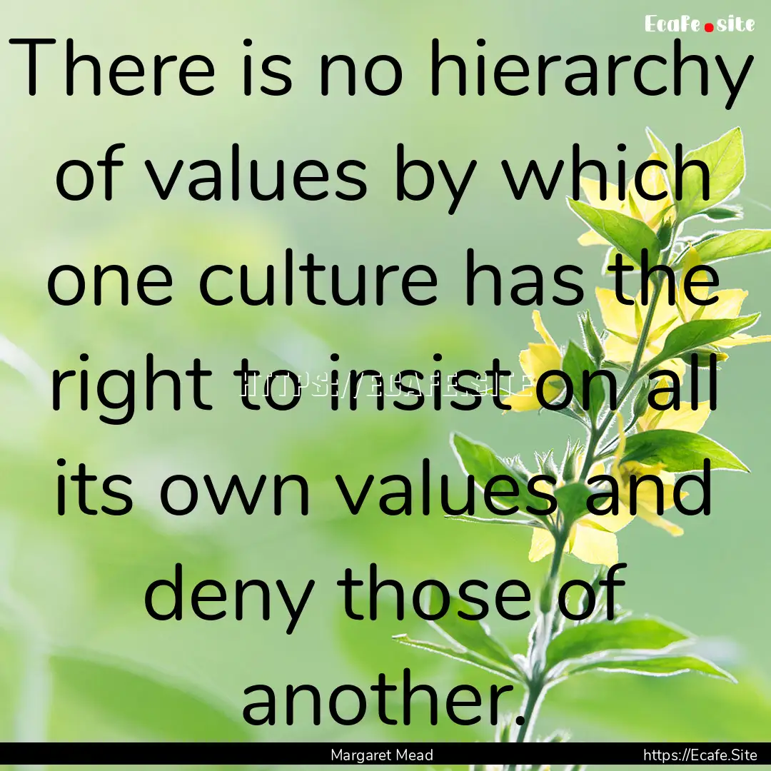 There is no hierarchy of values by which.... : Quote by Margaret Mead