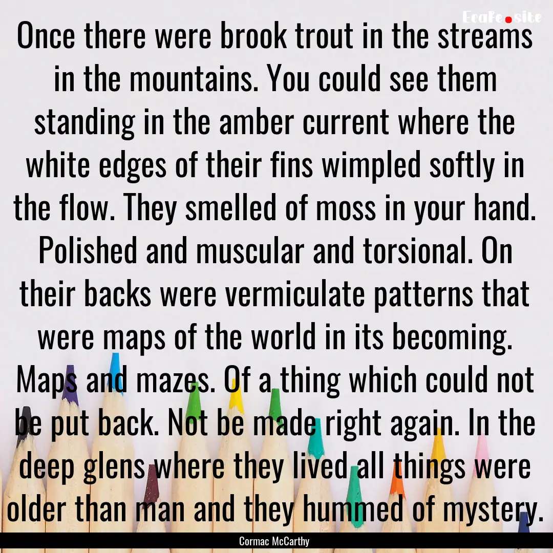 Once there were brook trout in the streams.... : Quote by Cormac McCarthy