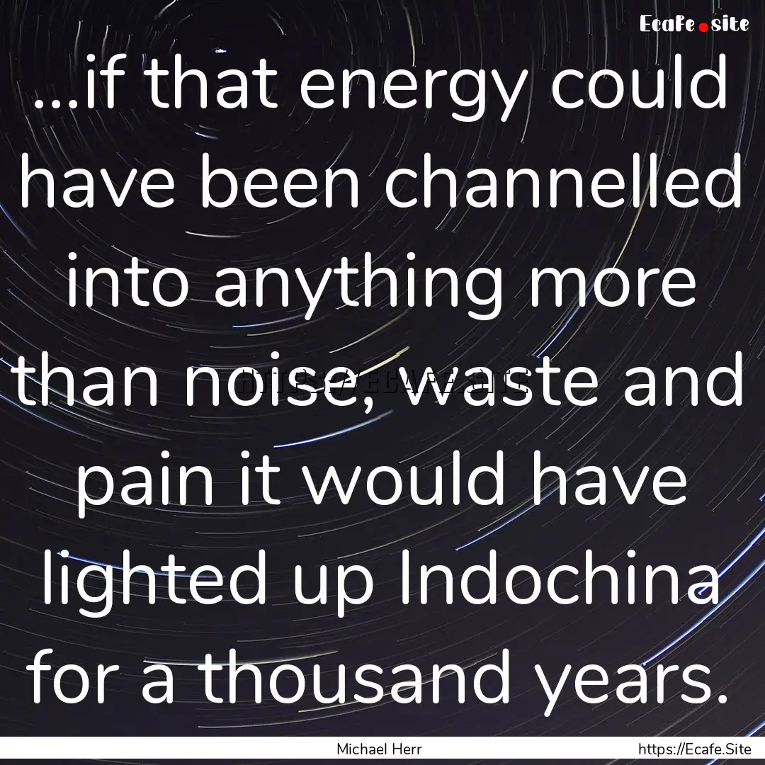 ...if that energy could have been channelled.... : Quote by Michael Herr