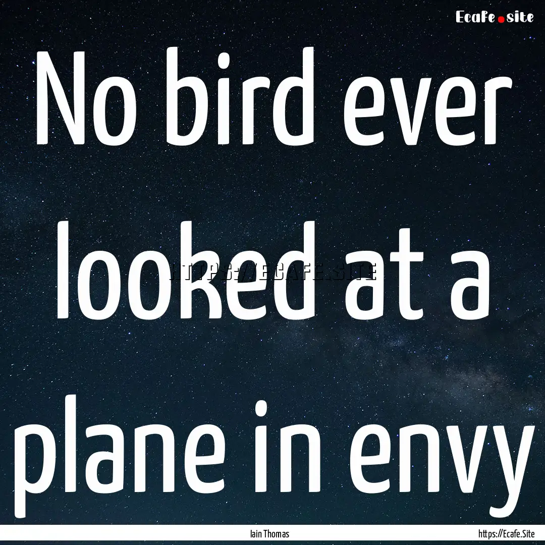 No bird ever looked at a plane in envy : Quote by Iain Thomas