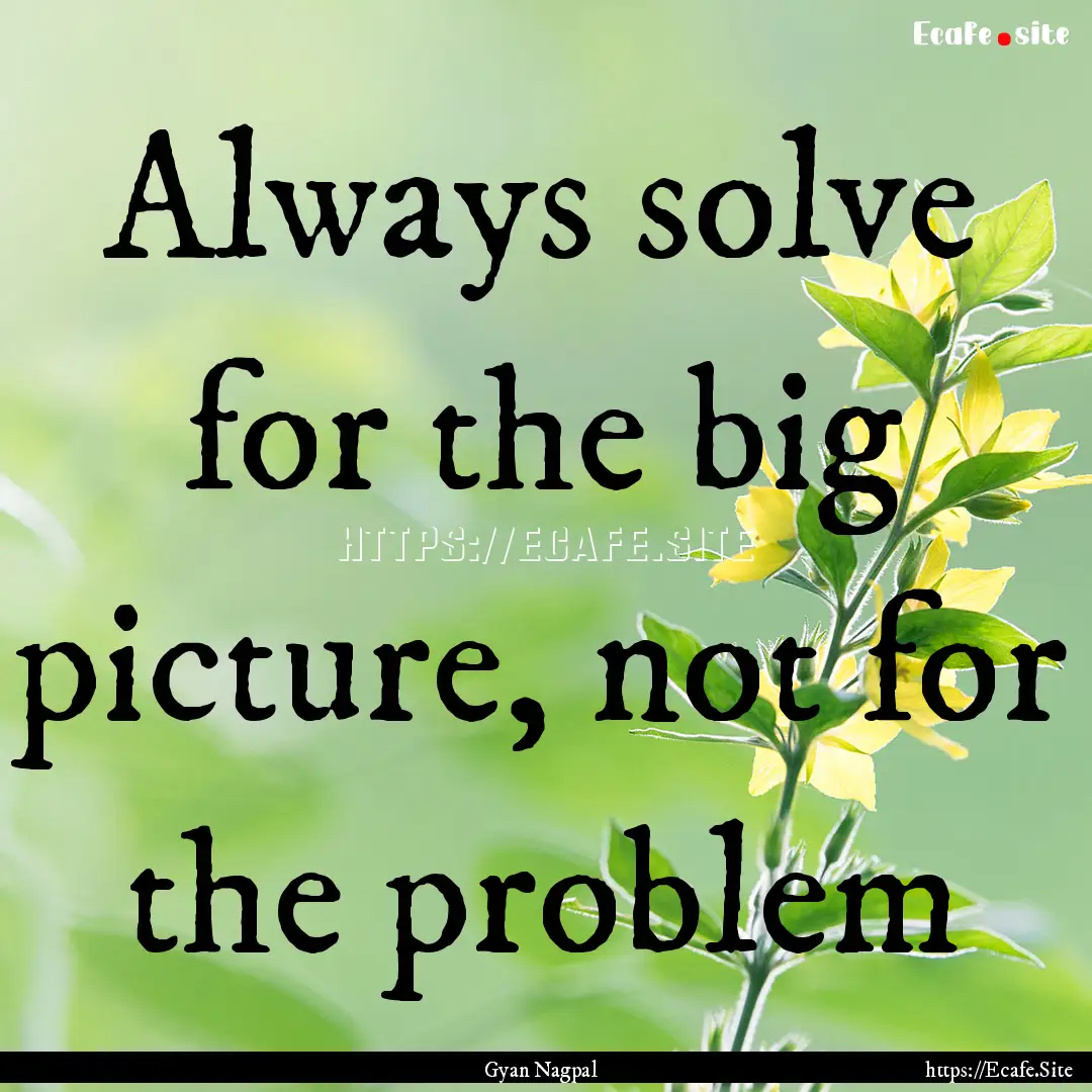 Always solve for the big picture, not for.... : Quote by Gyan Nagpal