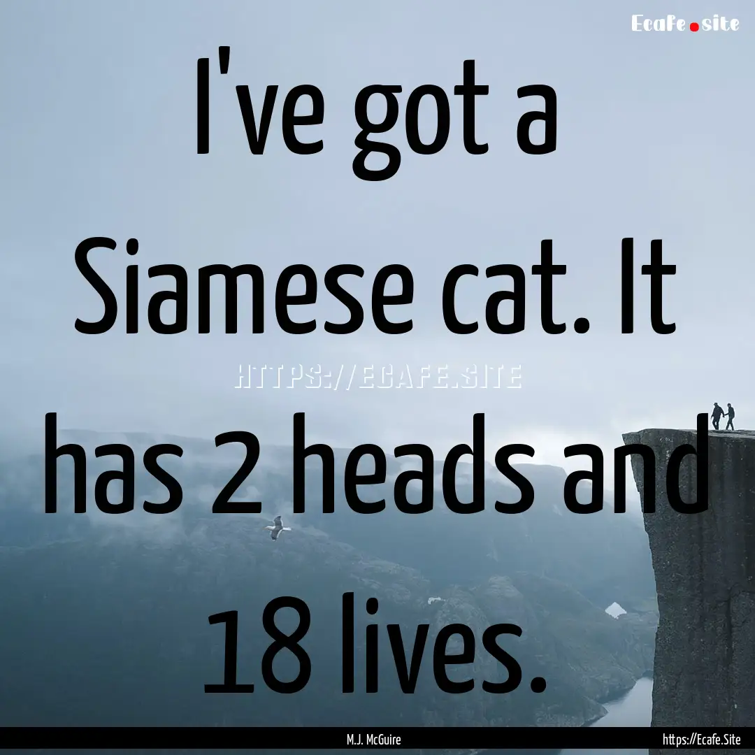 I've got a Siamese cat. It has 2 heads and.... : Quote by M.J. McGuire