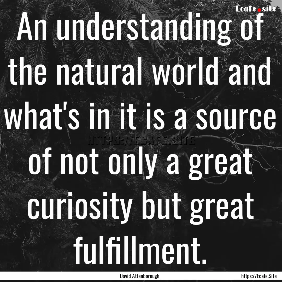 An understanding of the natural world and.... : Quote by David Attenborough