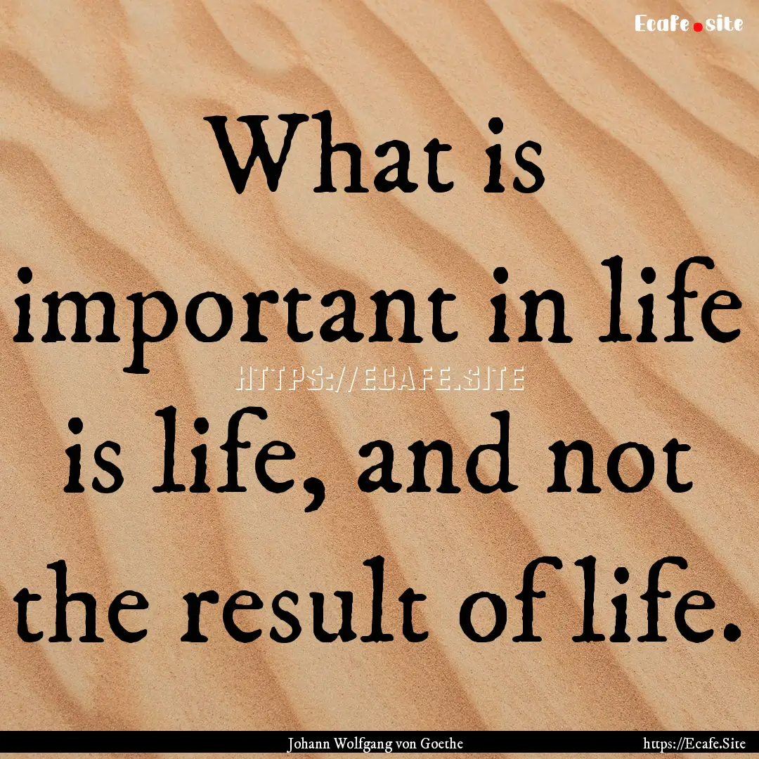 What is important in life is life, and not.... : Quote by Johann Wolfgang von Goethe