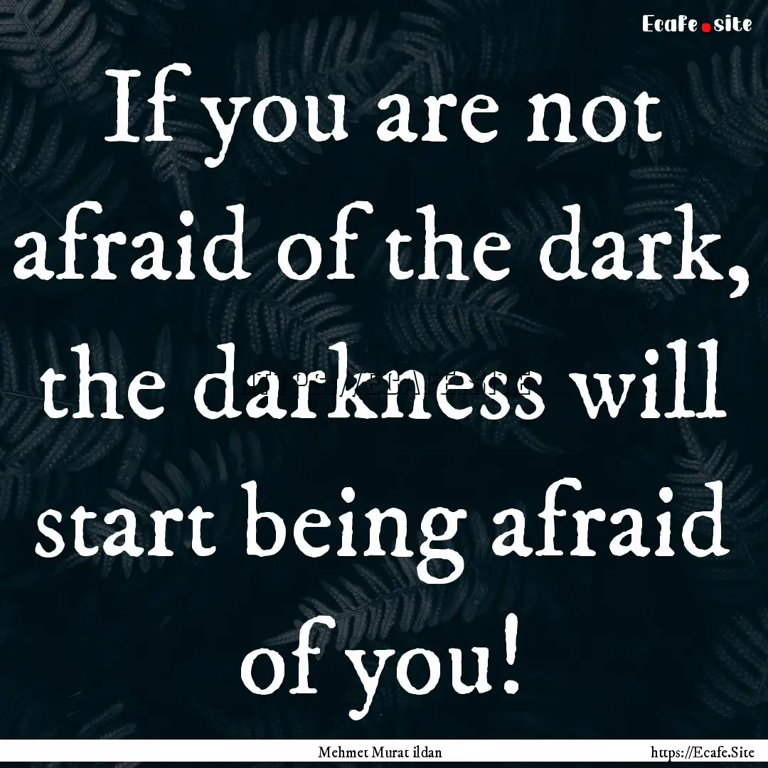 If you are not afraid of the dark, the darkness.... : Quote by Mehmet Murat ildan