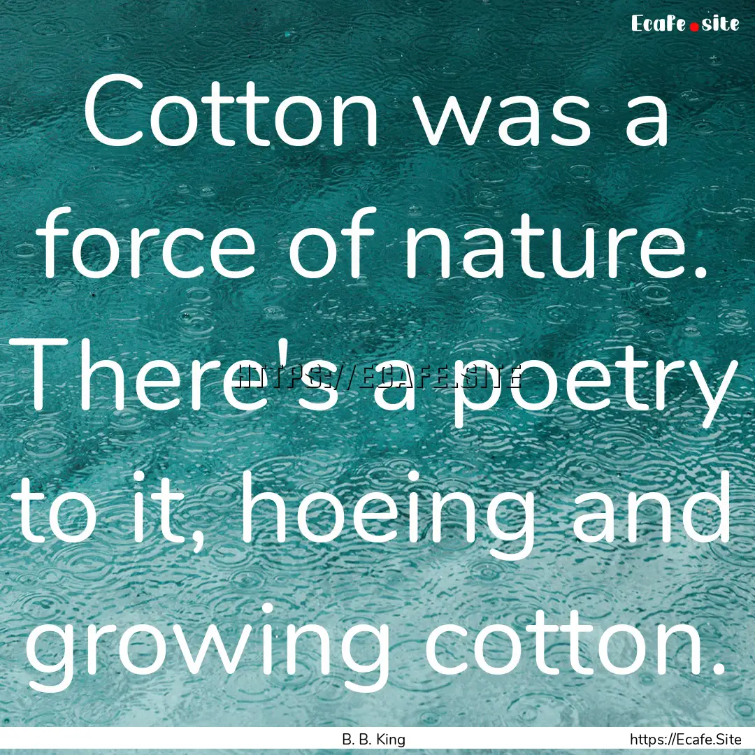 Cotton was a force of nature. There's a poetry.... : Quote by B. B. King