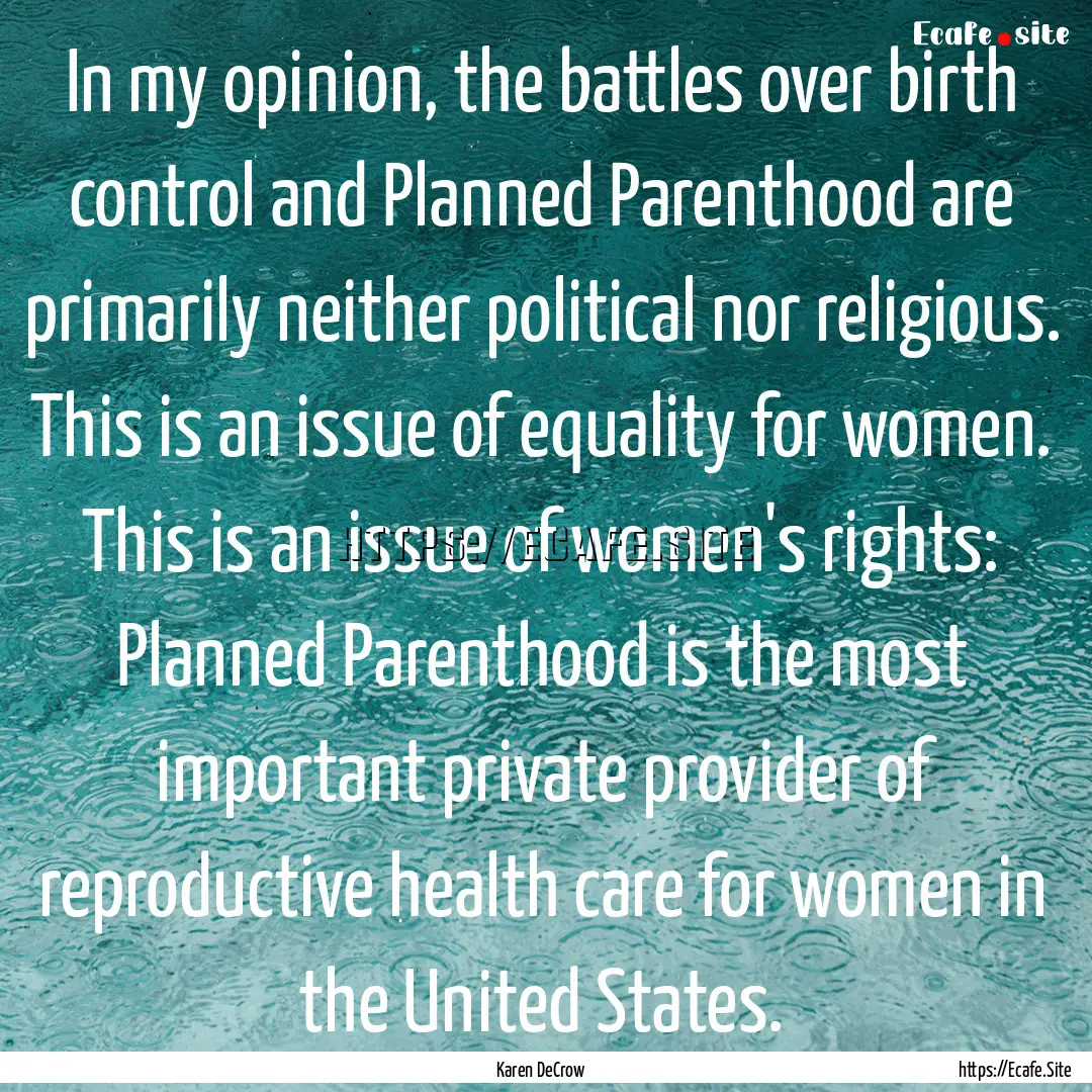 In my opinion, the battles over birth control.... : Quote by Karen DeCrow