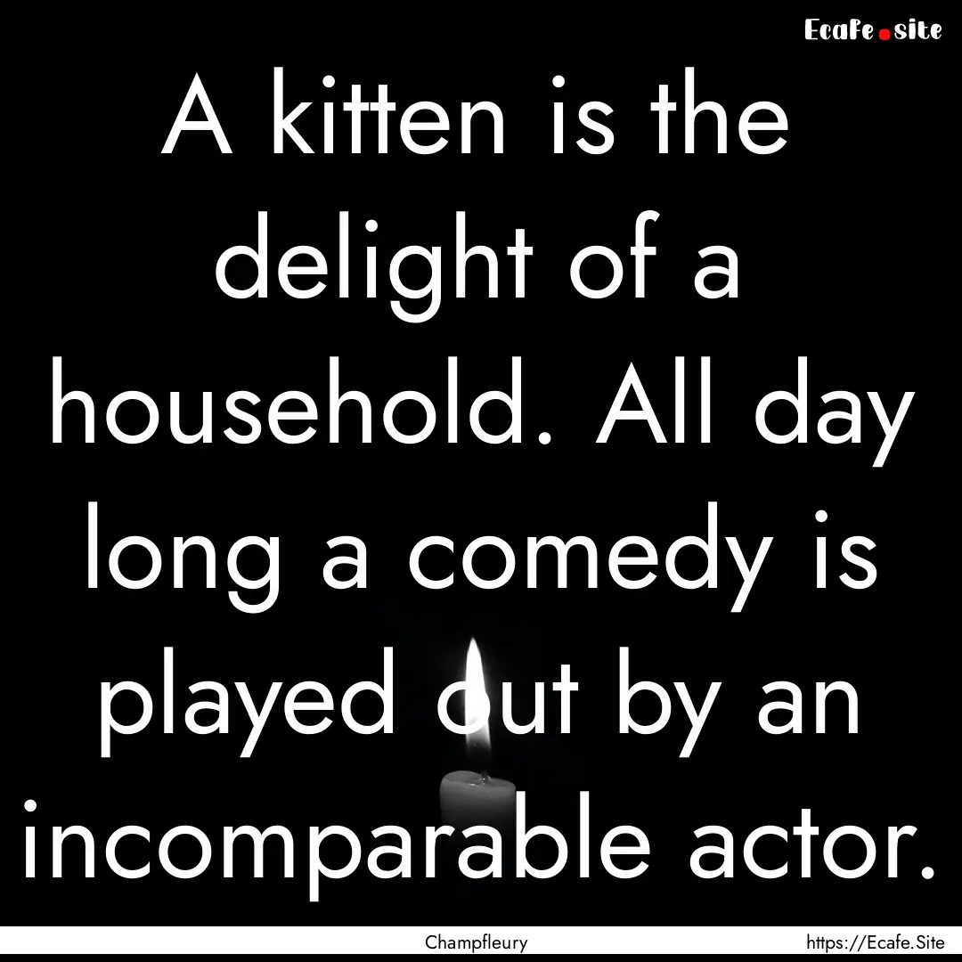 A kitten is the delight of a household. All.... : Quote by Champfleury