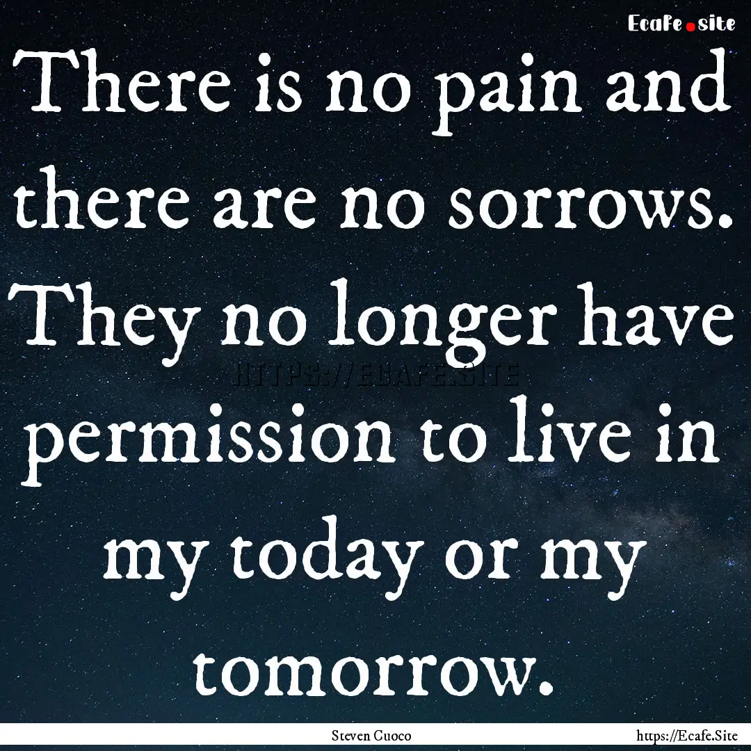 There is no pain and there are no sorrows..... : Quote by Steven Cuoco