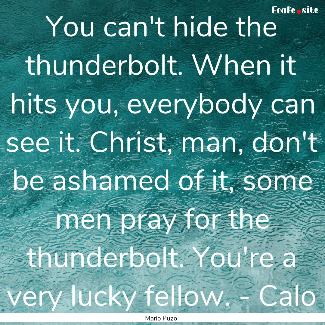 You can't hide the thunderbolt. When it hits.... : Quote by Mario Puzo