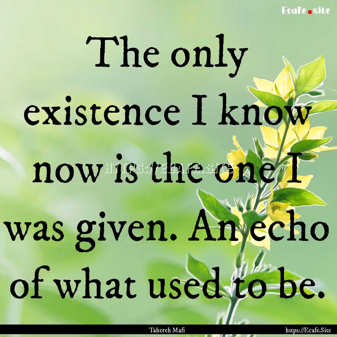 The only existence I know now is the one.... : Quote by Tahereh Mafi