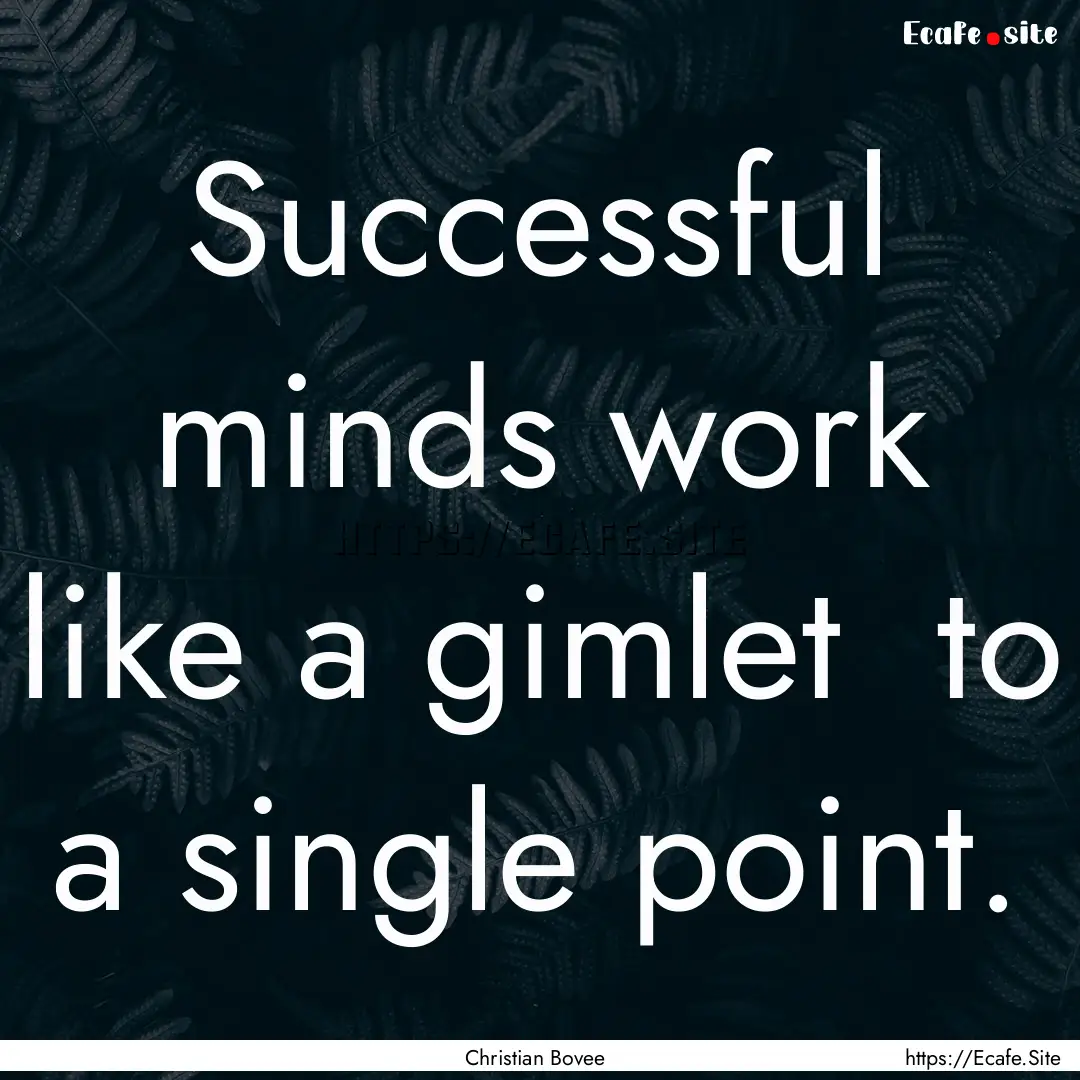 Successful minds work like a gimlet to a.... : Quote by Christian Bovee