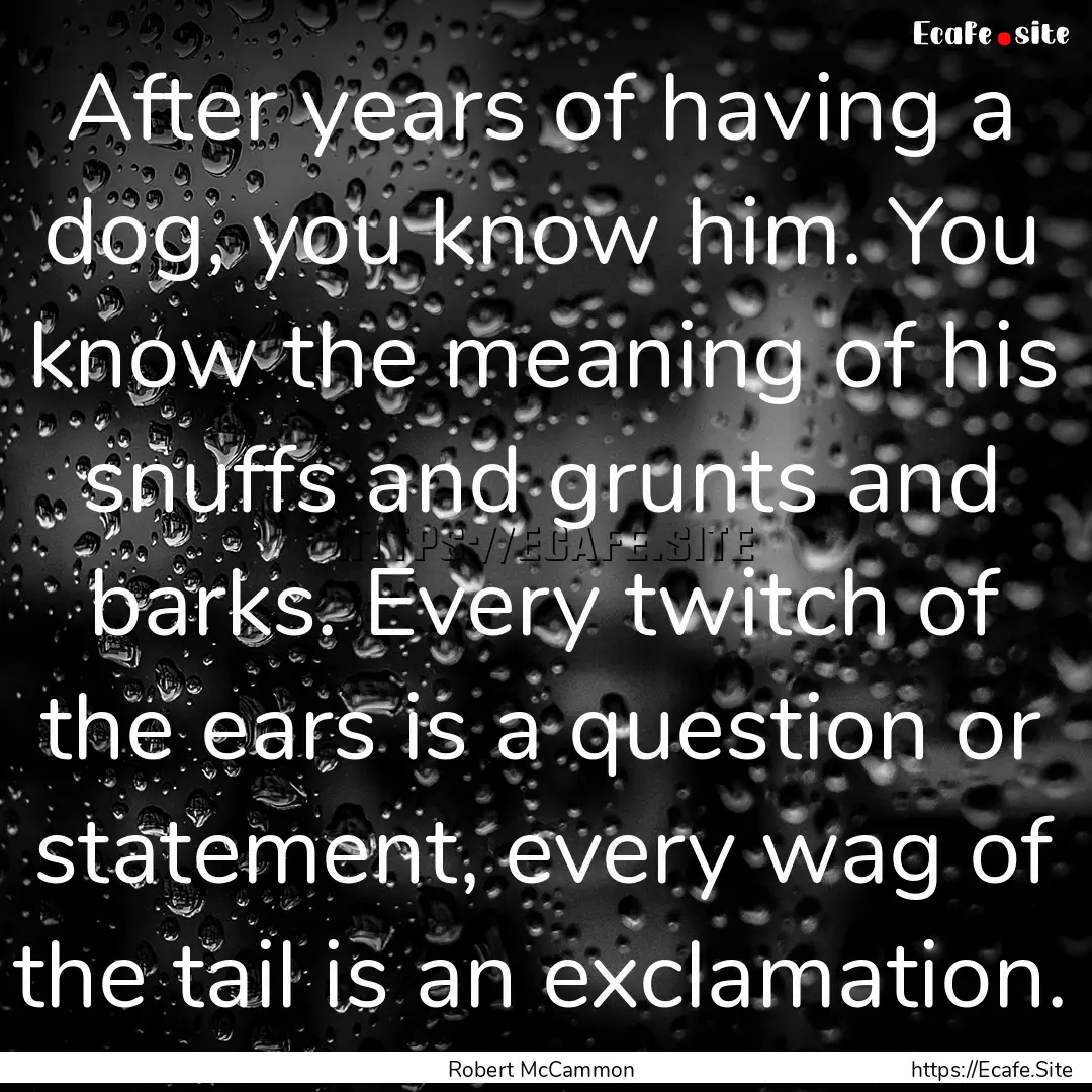 After years of having a dog, you know him..... : Quote by Robert McCammon