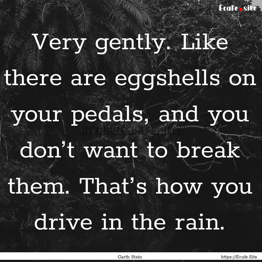 Very gently. Like there are eggshells on.... : Quote by Garth Stein