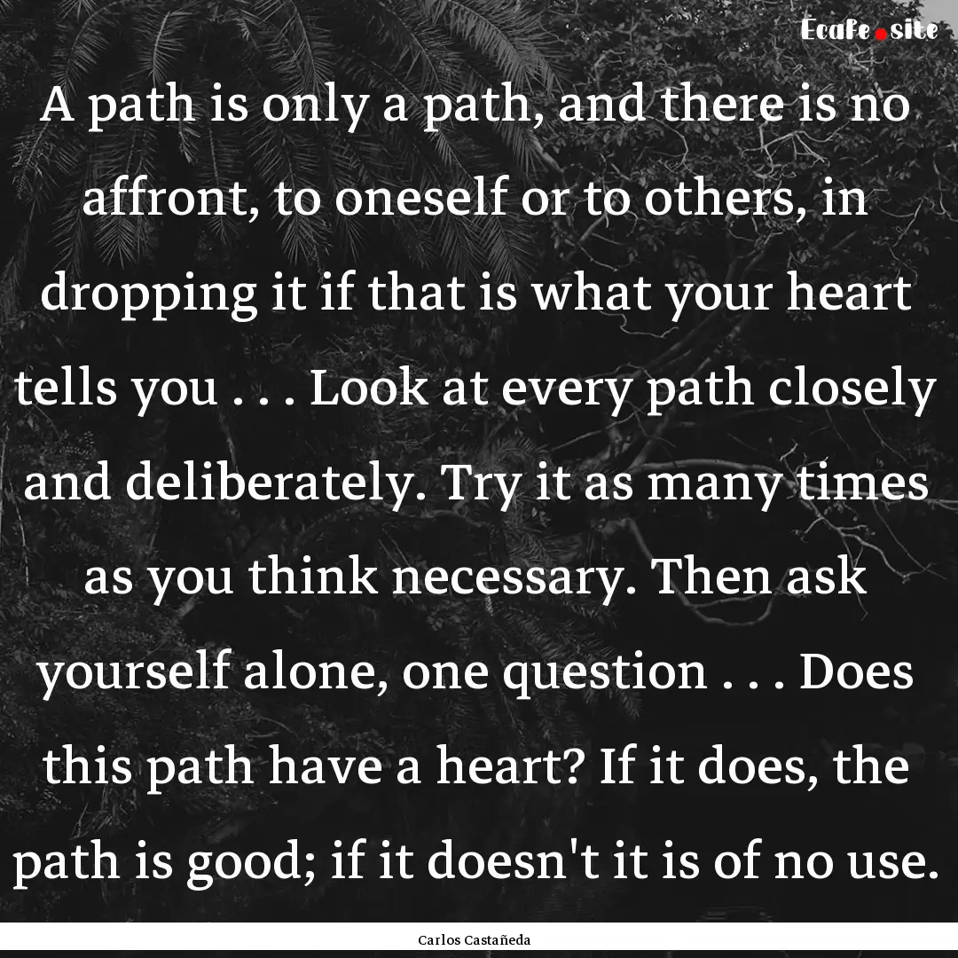 A path is only a path, and there is no affront,.... : Quote by Carlos Castañeda