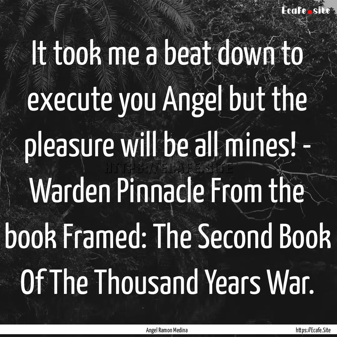 It took me a beat down to execute you Angel.... : Quote by Angel Ramon Medina