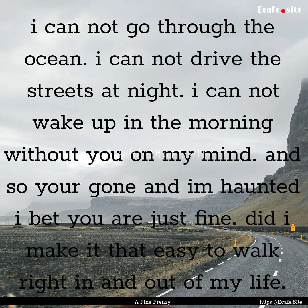 i can not go through the ocean. i can not.... : Quote by A Fine Frenzy