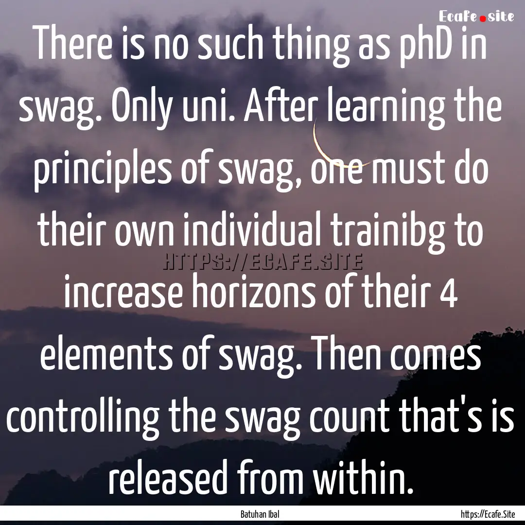 There is no such thing as phD in swag. Only.... : Quote by Batuhan Ibal