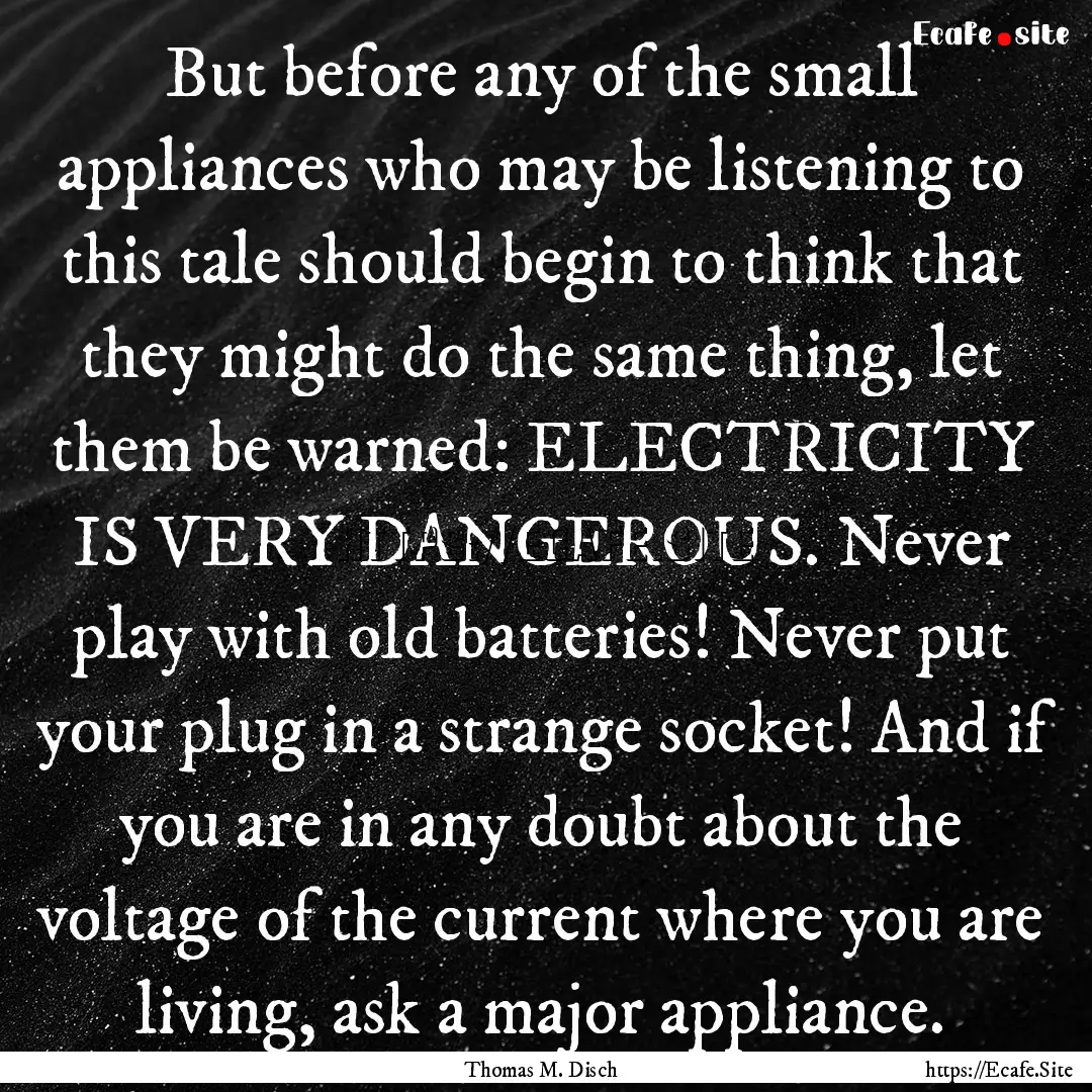 But before any of the small appliances who.... : Quote by Thomas M. Disch