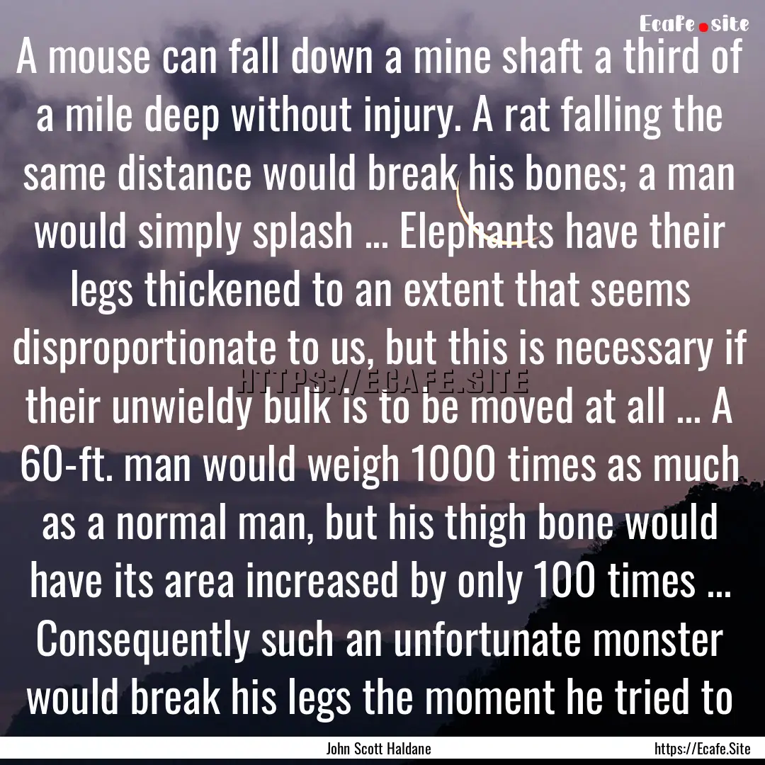 A mouse can fall down a mine shaft a third.... : Quote by John Scott Haldane