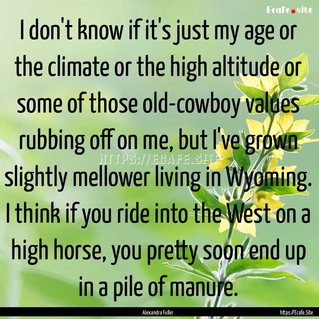 I don't know if it's just my age or the climate.... : Quote by Alexandra Fuller