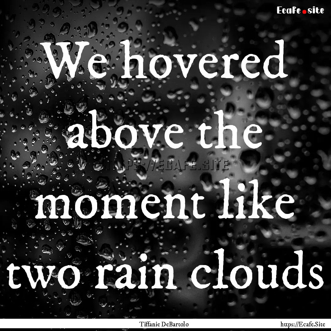 We hovered above the moment like two rain.... : Quote by Tiffanie DeBartolo