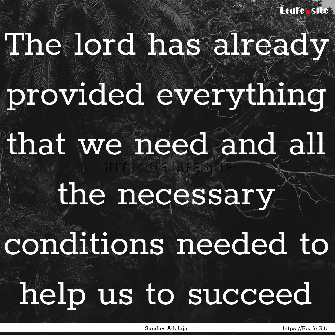 The lord has already provided everything.... : Quote by Sunday Adelaja