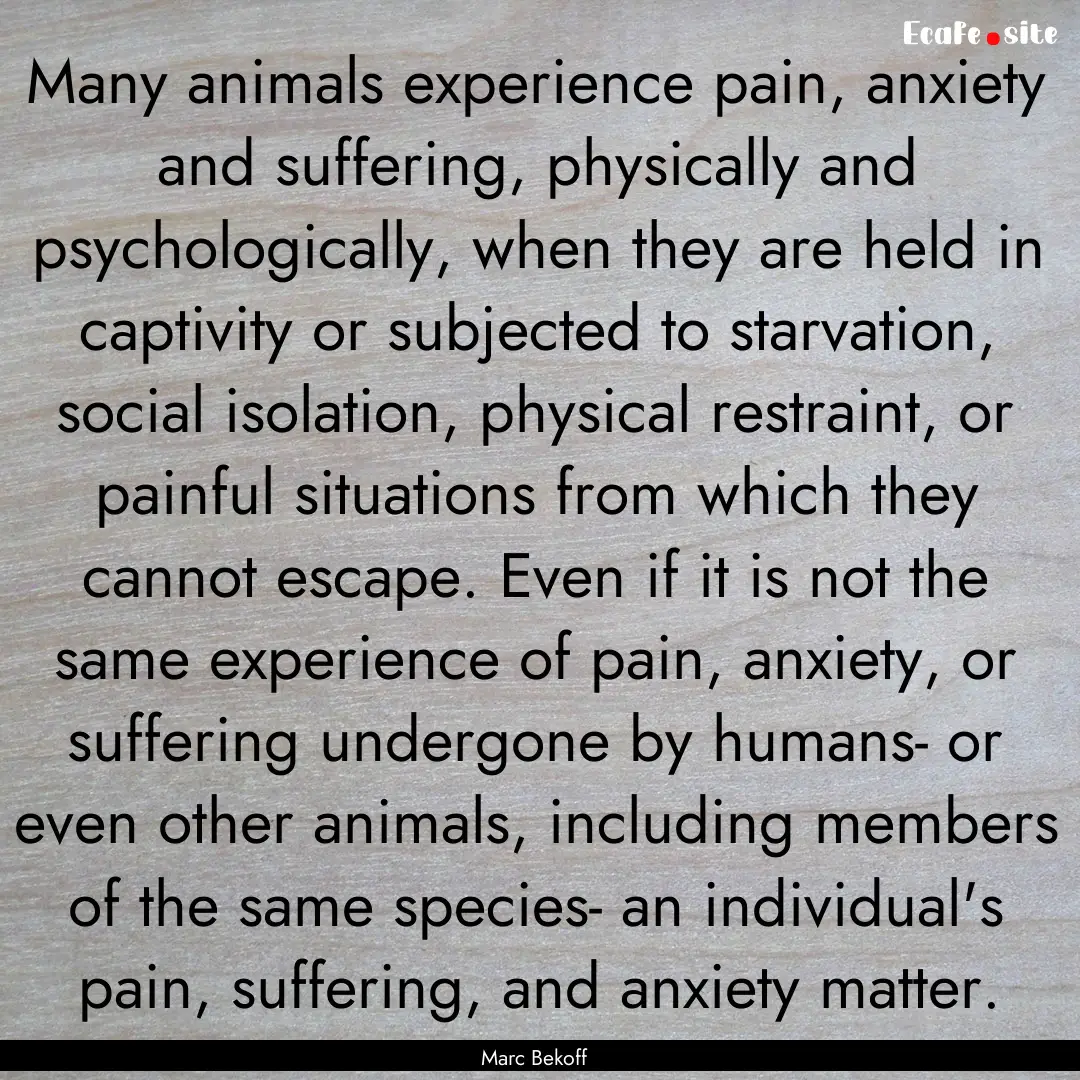 Many animals experience pain, anxiety and.... : Quote by Marc Bekoff