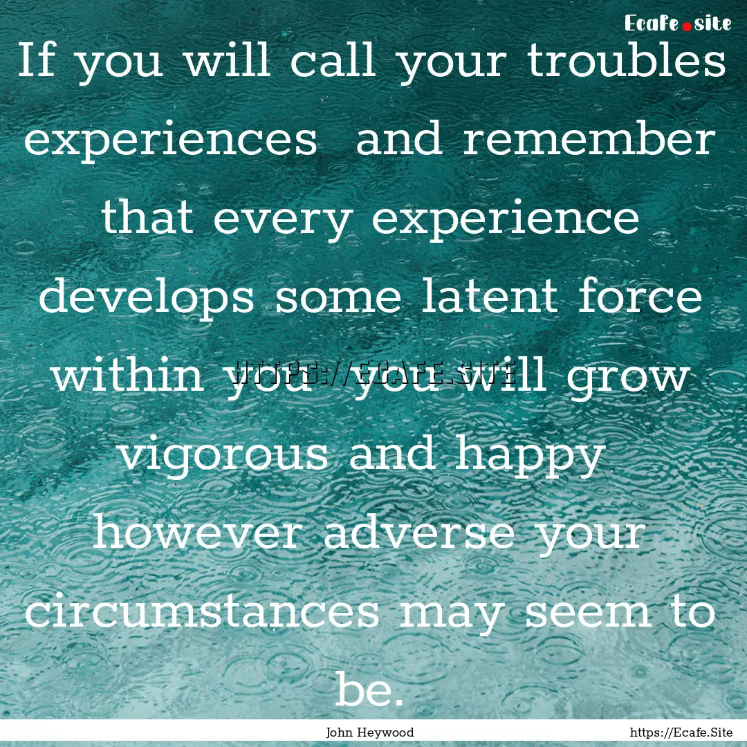 If you will call your troubles experiences.... : Quote by John Heywood